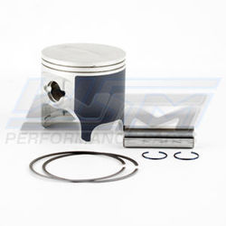 Piston Kit: Kawasaki 750 92-95 Standard Platinum