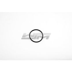 Cam Cover O-Ring: Sea-Doo 1503 / 1630 4-Tec 02-22