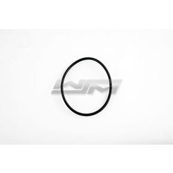 End Cap O-Ring: Sea-Doo 1503 / 1630 4-Tec 02-22