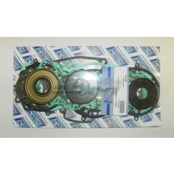 Complete Gasket Kit: Polaris 780 95-97