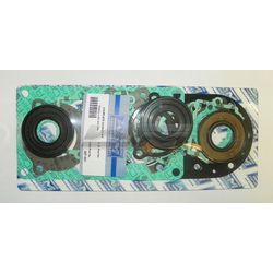 Complete Gasket Kit: Tiger Shark 640 93-99
