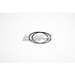 Piston Rings: Polaris 750 Std.