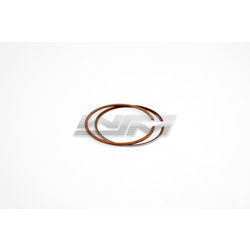 Piston Rings: Polaris 900 Std.
