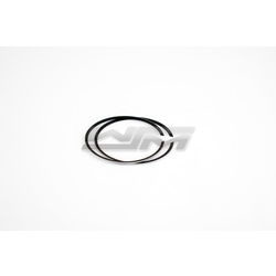 Piston Rings: Tiger Shark 900 Std.