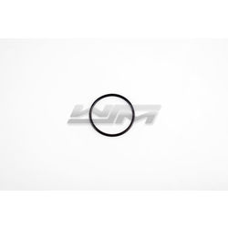 Bearing Housing O-Ring: Yamaha 650 - 1200 90-04