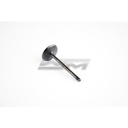 Intake Valve: Sea-Doo 1503 / 1630 4-Tec 02-22