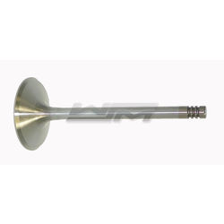 Intake Valve: Sea-Doo 1503 / 1630 4-Tec 02-22