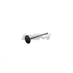 Exhaust Valve: Sea-Doo 900 14-22